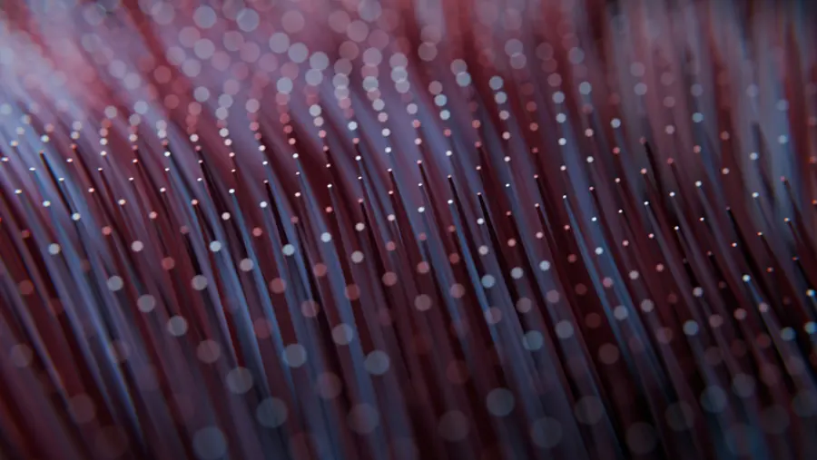 Brand Sound Pool: How Brands Optimize Their Communication