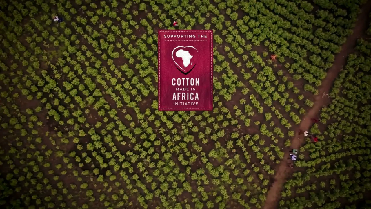 Still: Cotton made in Africa – NGO & sustainability